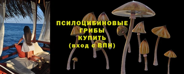 прущая мука Бородино