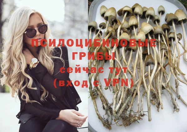 прущая мука Бородино