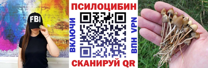 Галлюциногенные грибы MAGIC MUSHROOMS  omg tor  Озёрск 